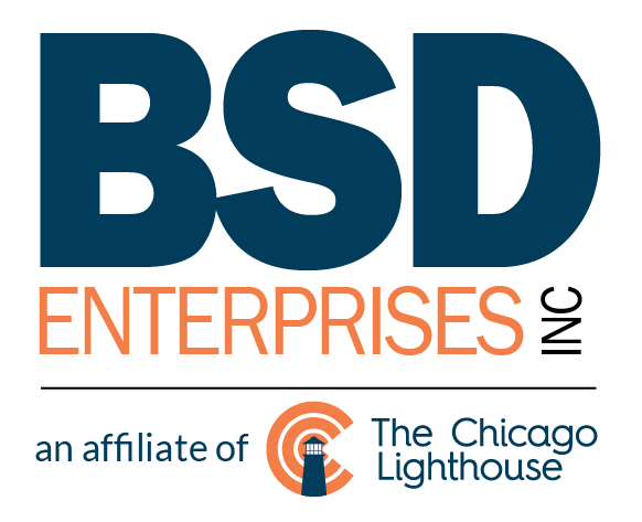 BlindSight Delaware Enterprises, Inc.